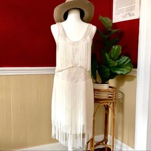 White Swan Embroidered Fringed Haute Hippie Dress
